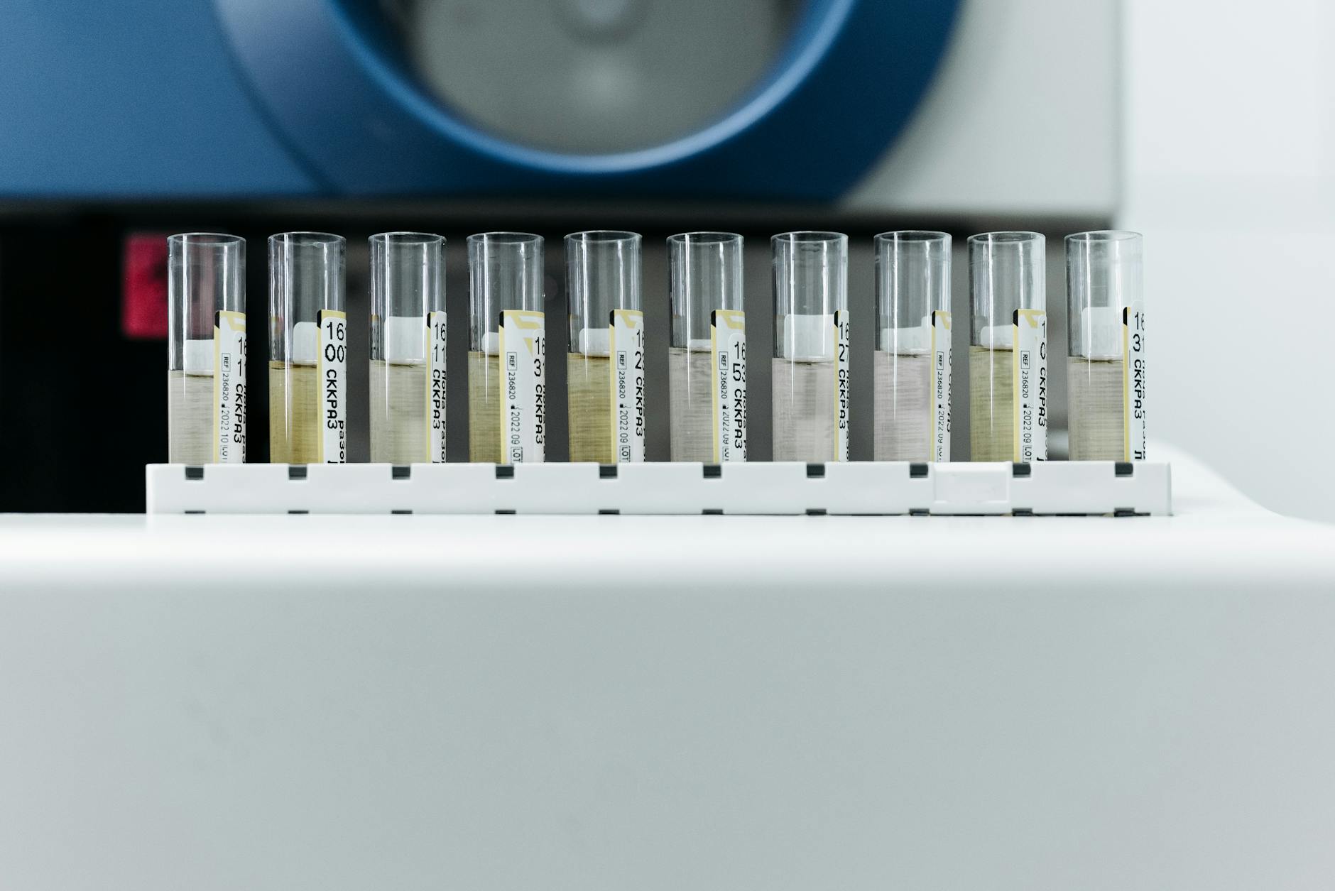 Blood Tests and Biomarkers: The New Early Detection Tools