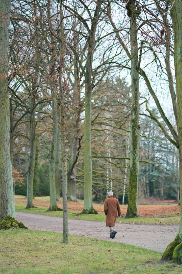 Elderly person walking along an outdoor park path