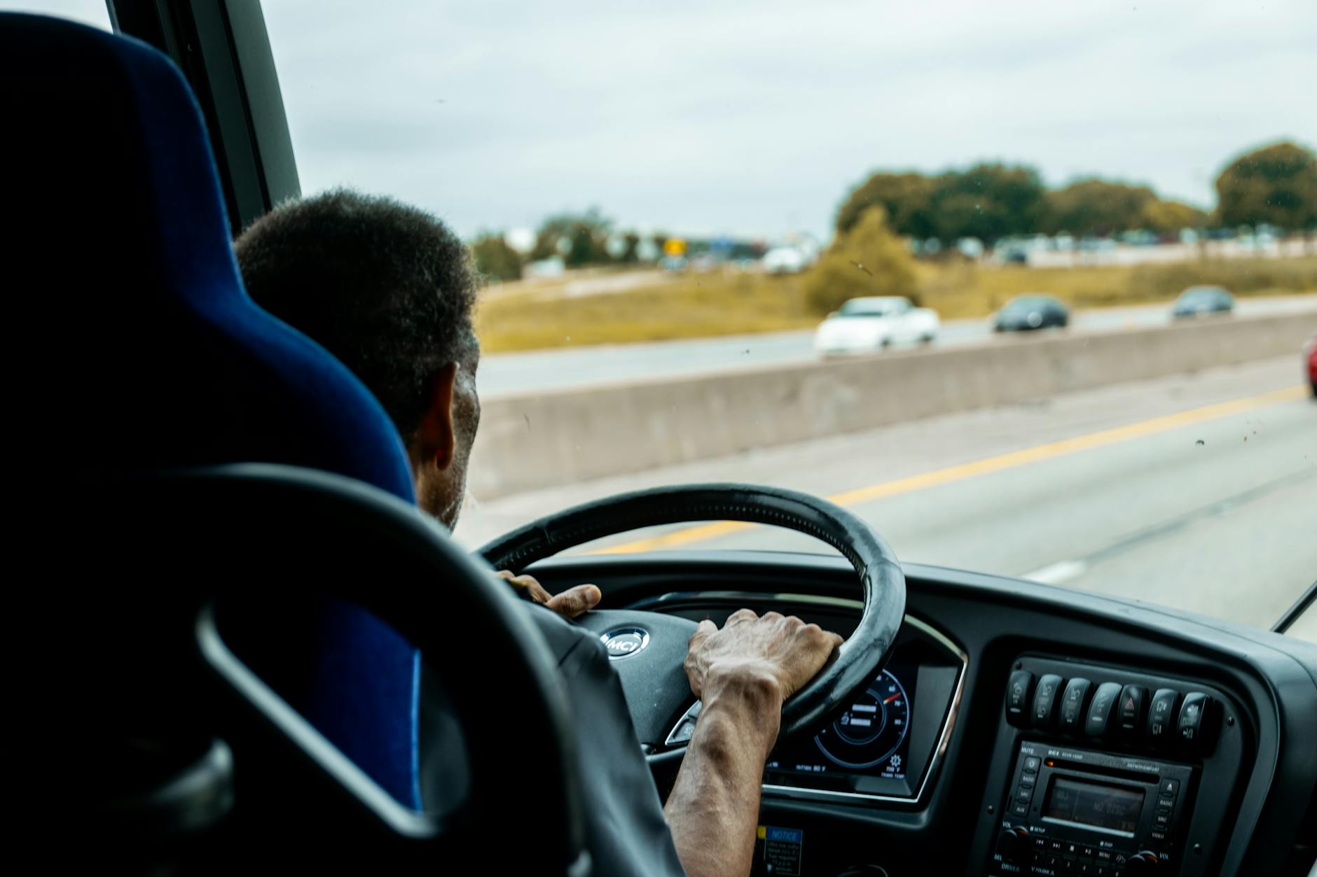 The Role of Professional Driving Evaluations