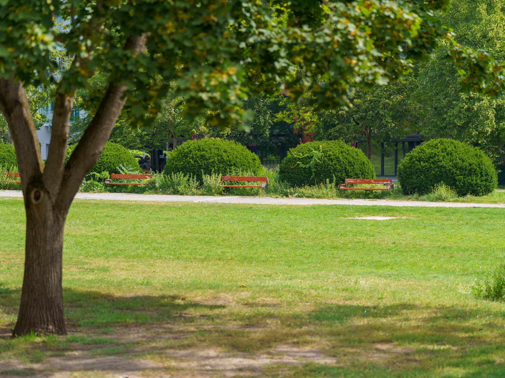 Common Barriers and How Isolation Deepens