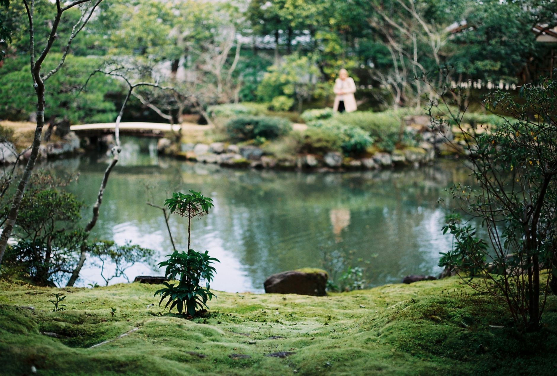 Does Ikigai Really Explain Okinawan Independence?