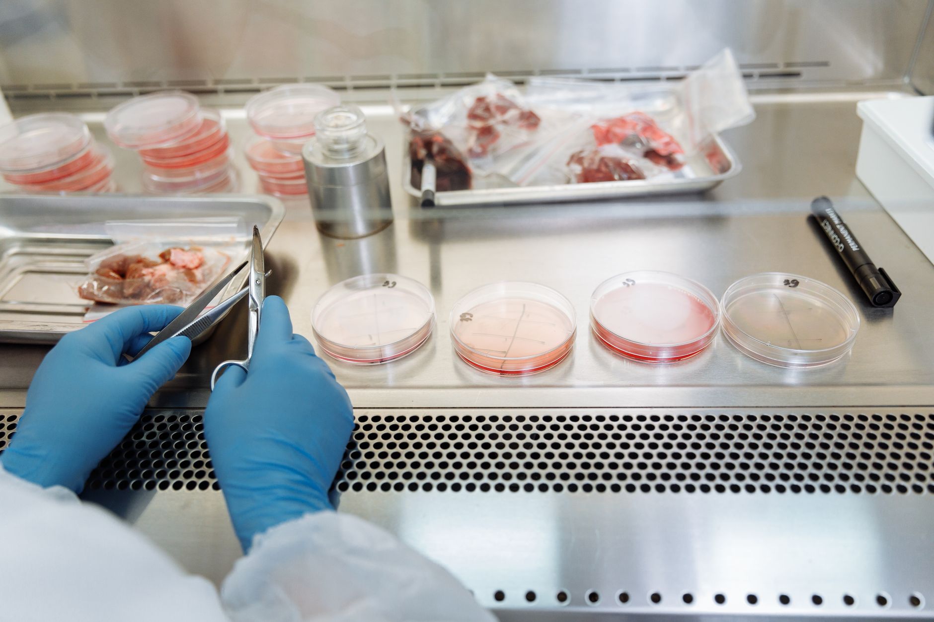 Genetics Versus Lifestyle—The 70-30 Reality Check