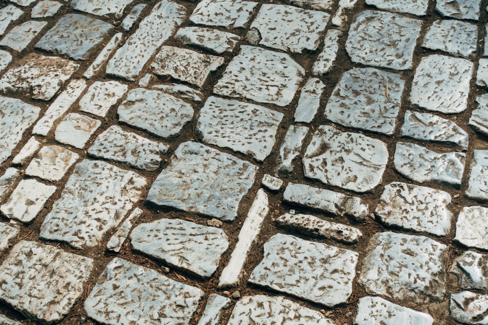 HOW CLUTTERED PATHS INCREASE FALL RISK AND MOBILITY CHALLENGES