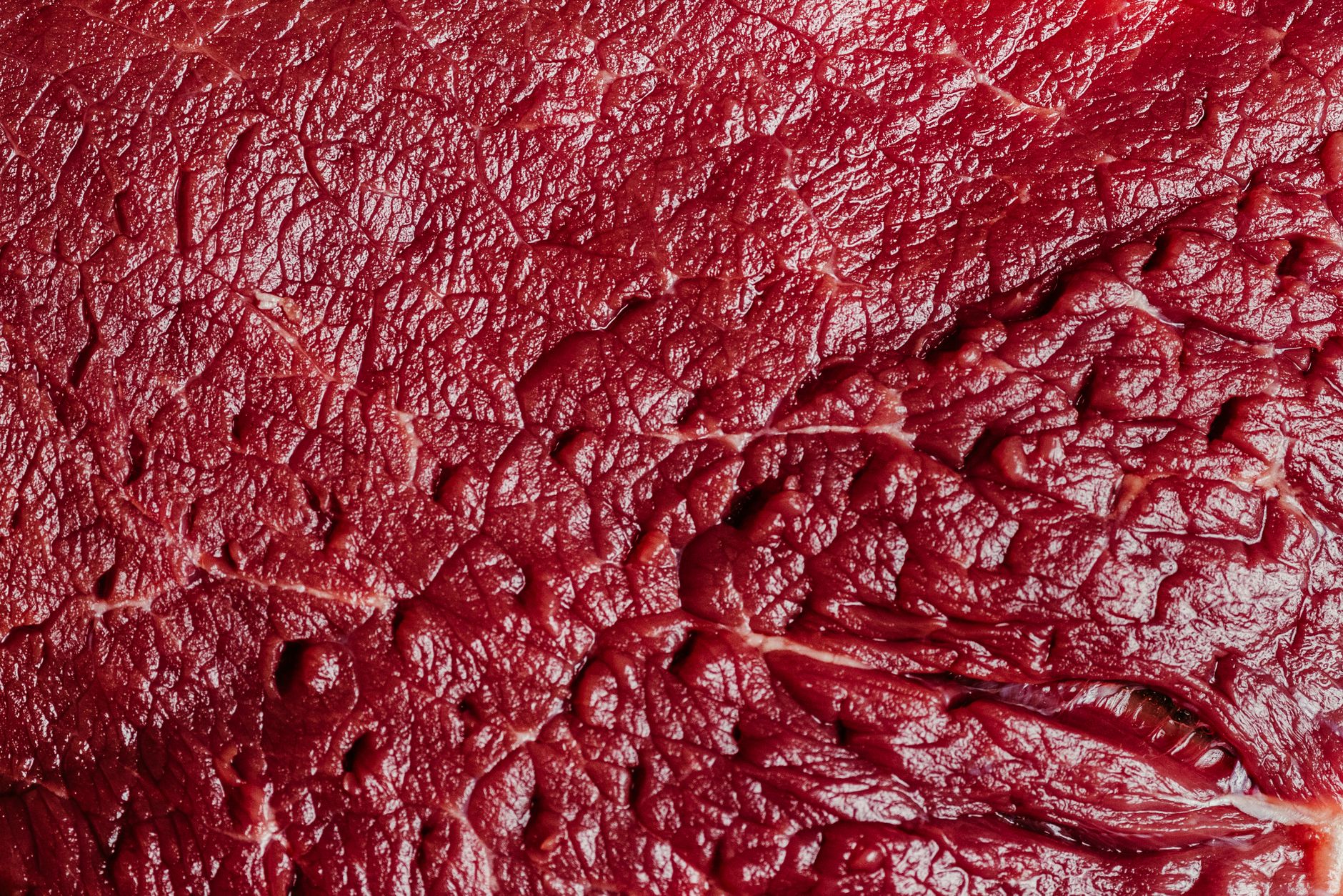 How Does Protein Preserve Muscle Better Than Weight Loss Alone?