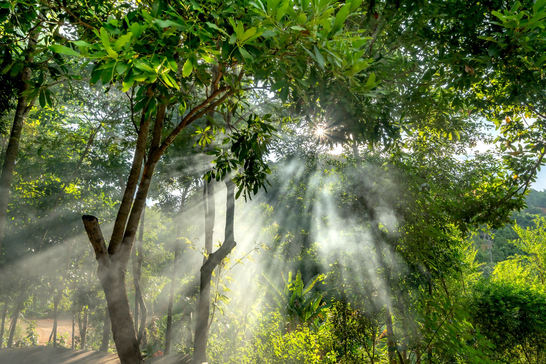 How Home Environments Support Daily Independence