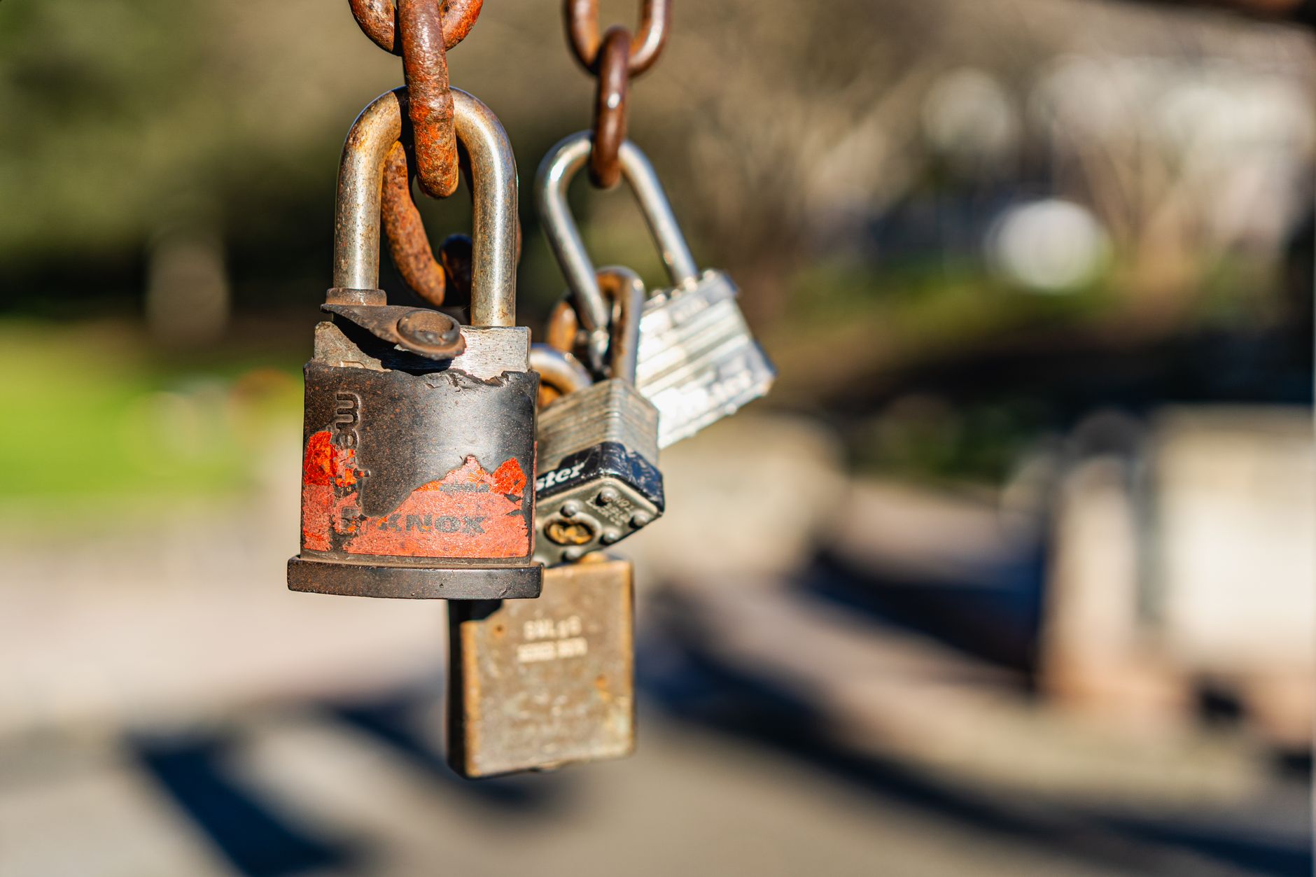 How Purpose Protects Health Better Than Any Supplement