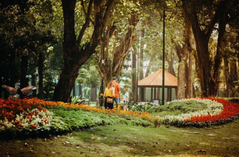 How to Prevent Wandering in a Parent With Dementia - Featured image