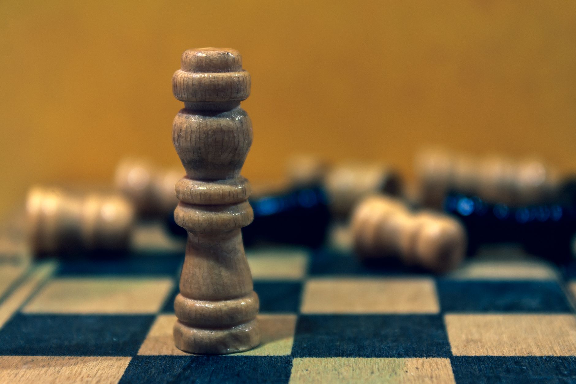 Protecting Cognitive Sharpness Against All Distractions