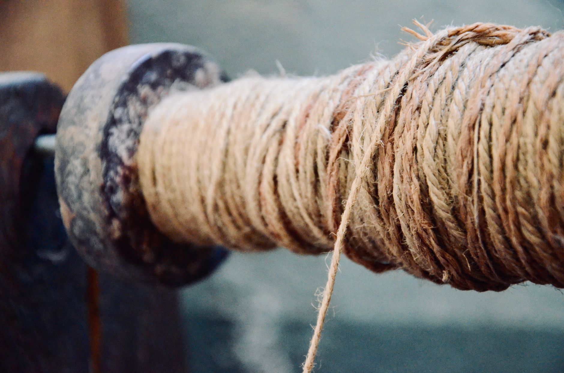 The Emerging Role of Fiber in Strength and Aging