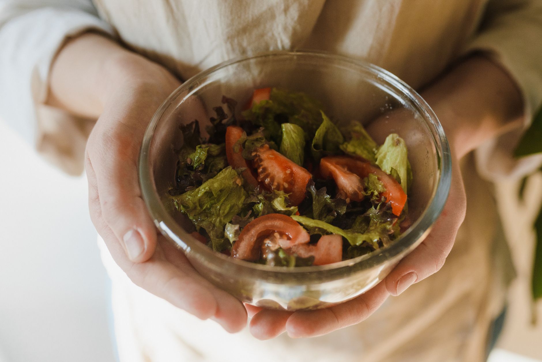 The Plant-Based Diet as the Nutritional Foundation