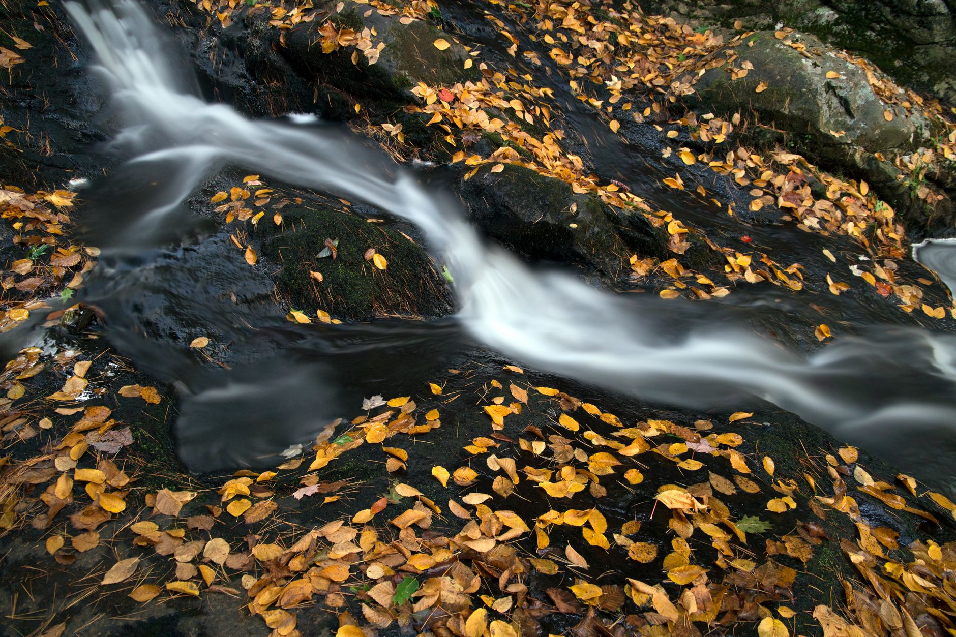 What Happens After a Fall: The Cascade of Lost Independence