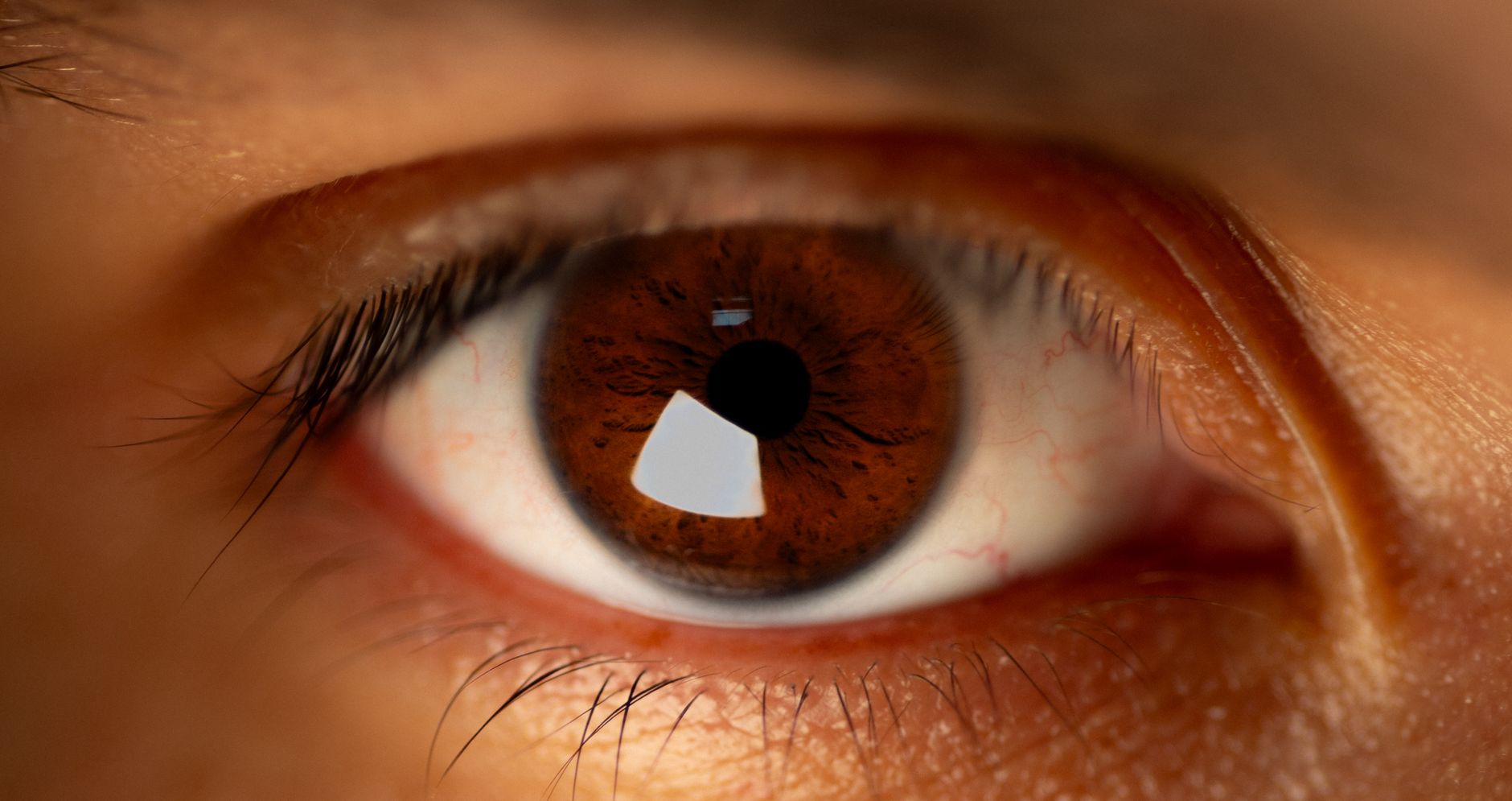 What Macular Degeneration Actually Changes in Vision