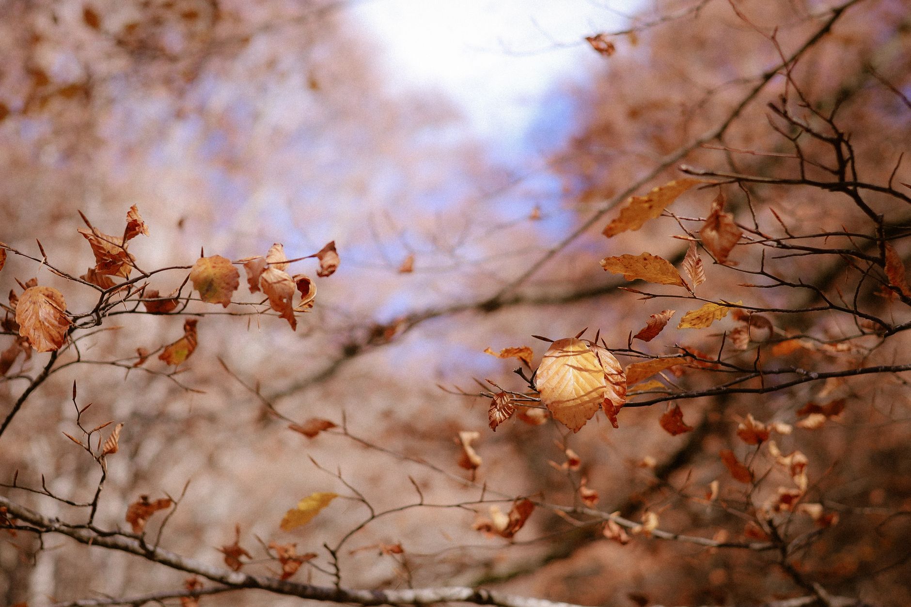 What Should You Do in the Hours After a Fall?
