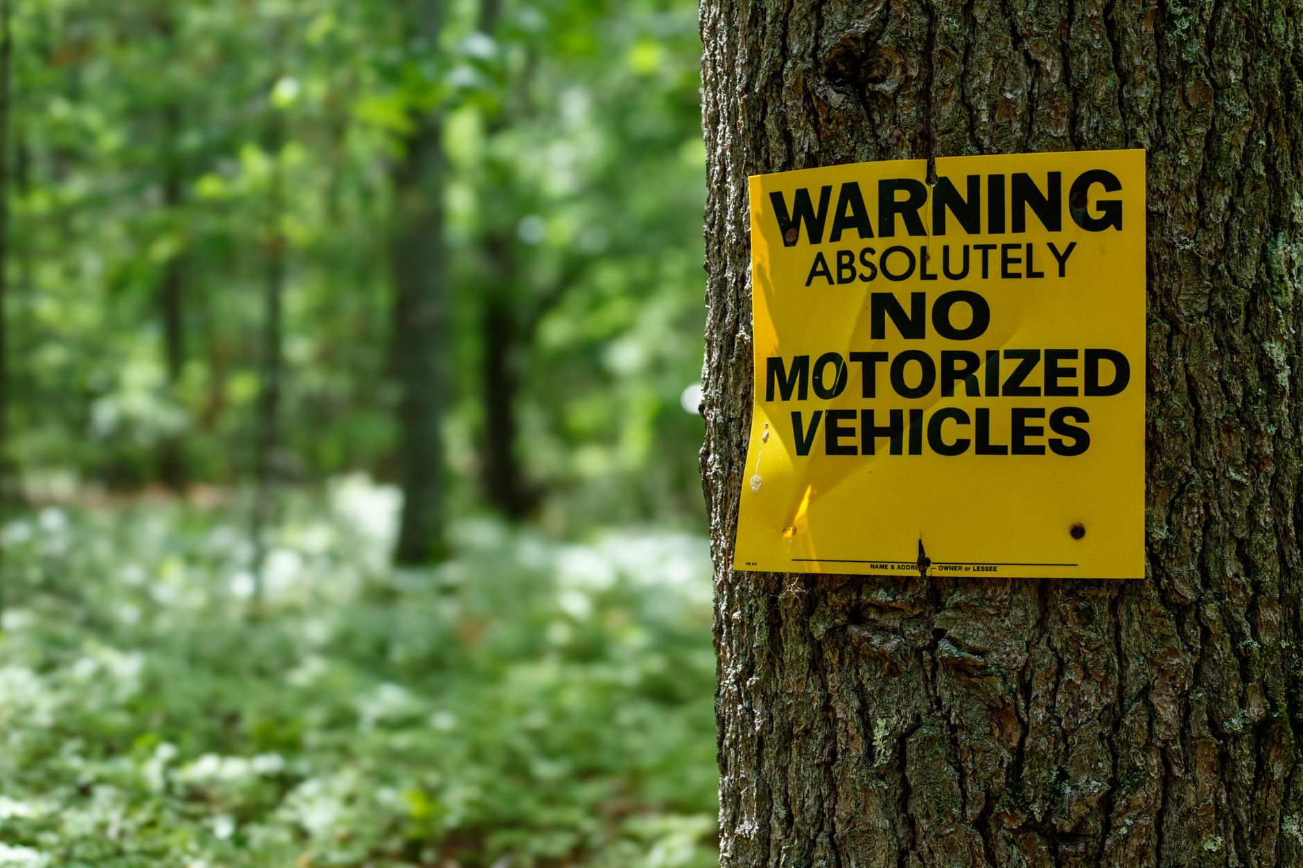What Warning Signs Suggest a Senior Is Falling Through Gaps in Community Resources?