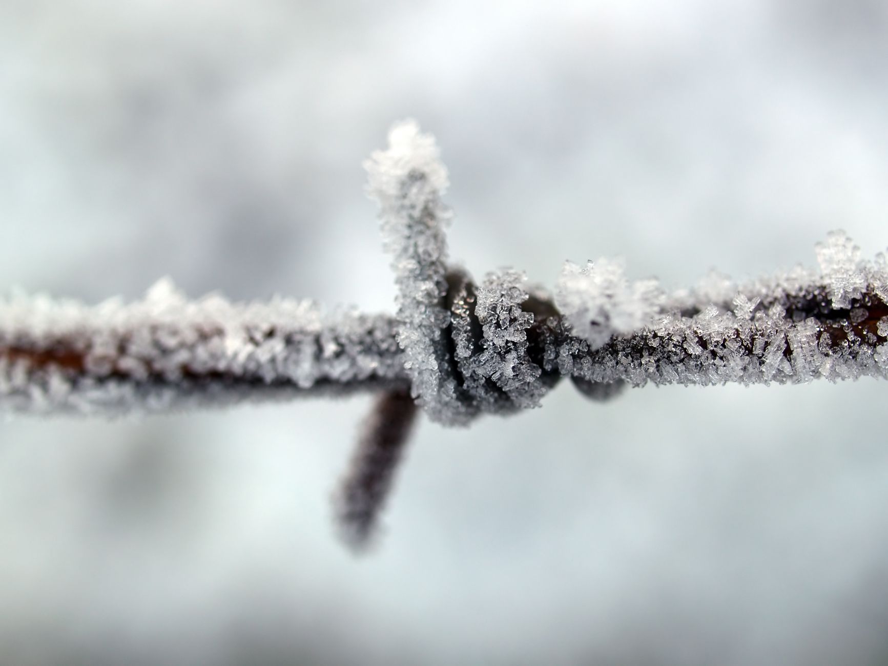 What Winter Hazards Pose the Biggest Risk to Older Adults Living Alone?
