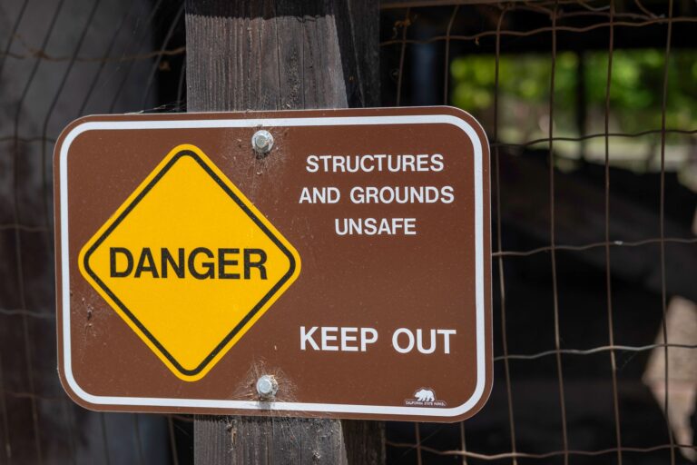 When Independence Becomes Unsafe: Drawing the Line With Love - Featured image