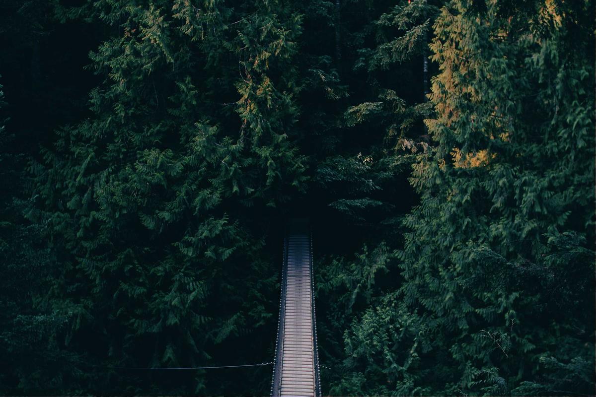 When Isolation Changes Your Parent's Thinking and Memory