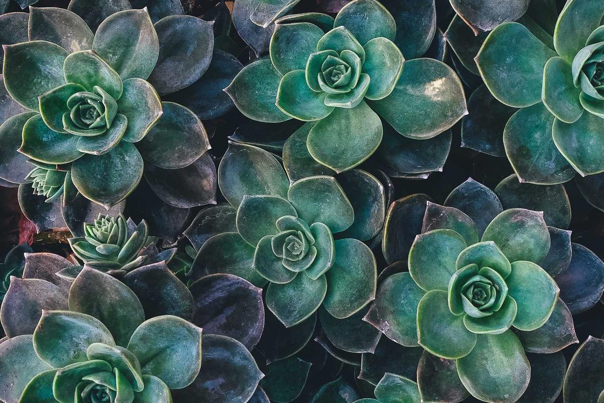 Why Gentle Tracking Matters—And Why It's Harder Than Formal Testing