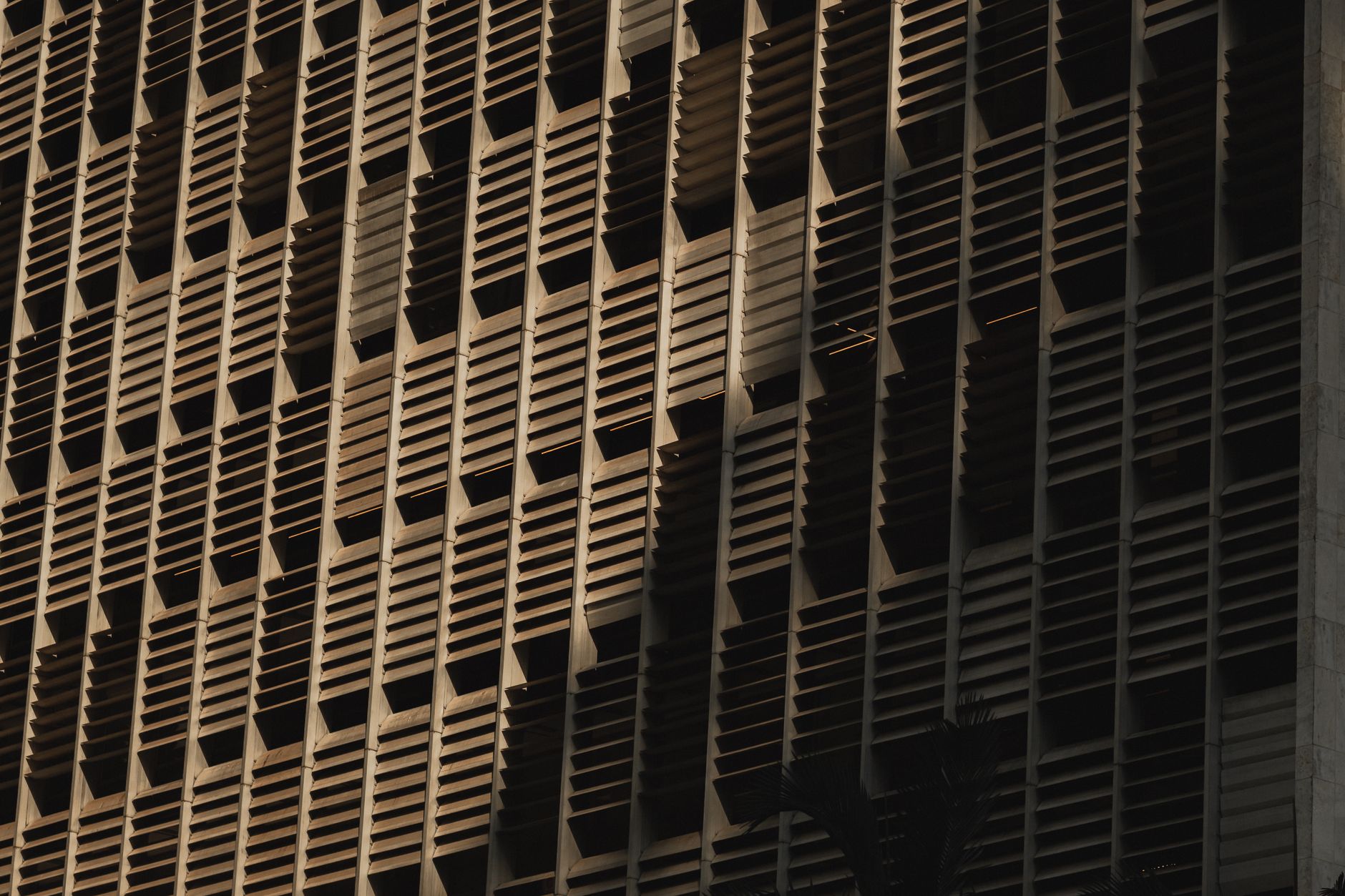 Why Habit-Building Is Better Than Emergency Adaptation