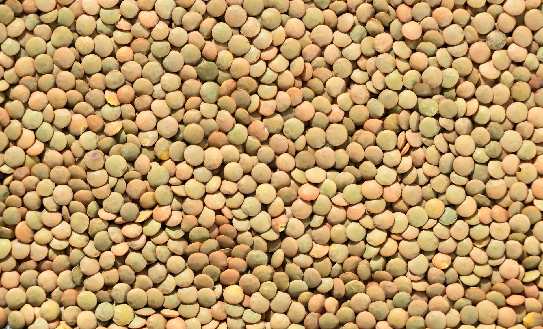 Why Protein Deficiency Is One of the Most Overlooked Nutrition Mistakes