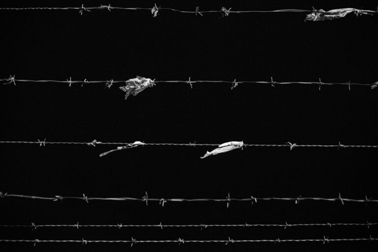 Why the Best Time to Protect Your Freedom Is Now - Featured image