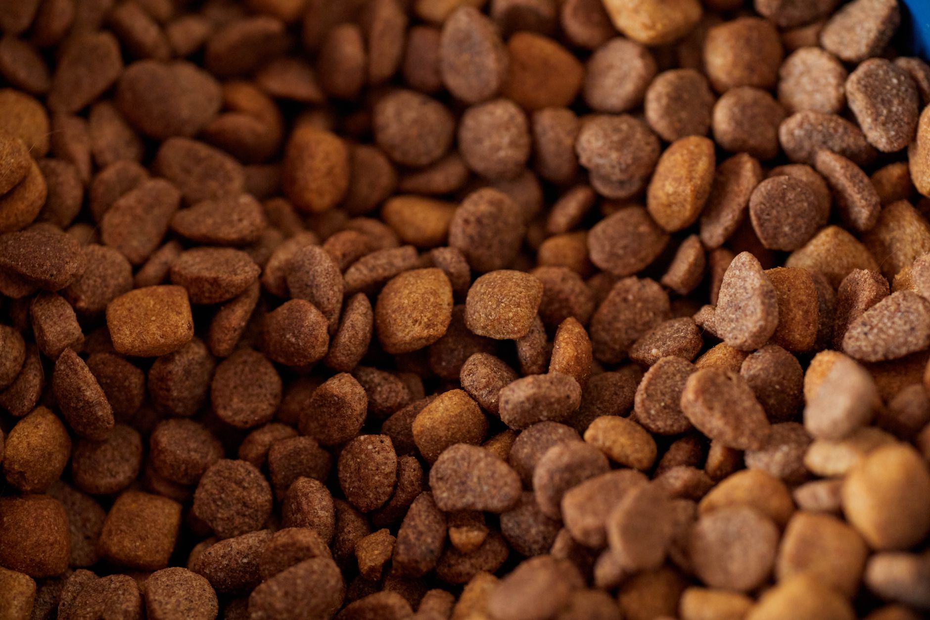 Why Your Protein Needs Have Changed More Than You Probably Realize