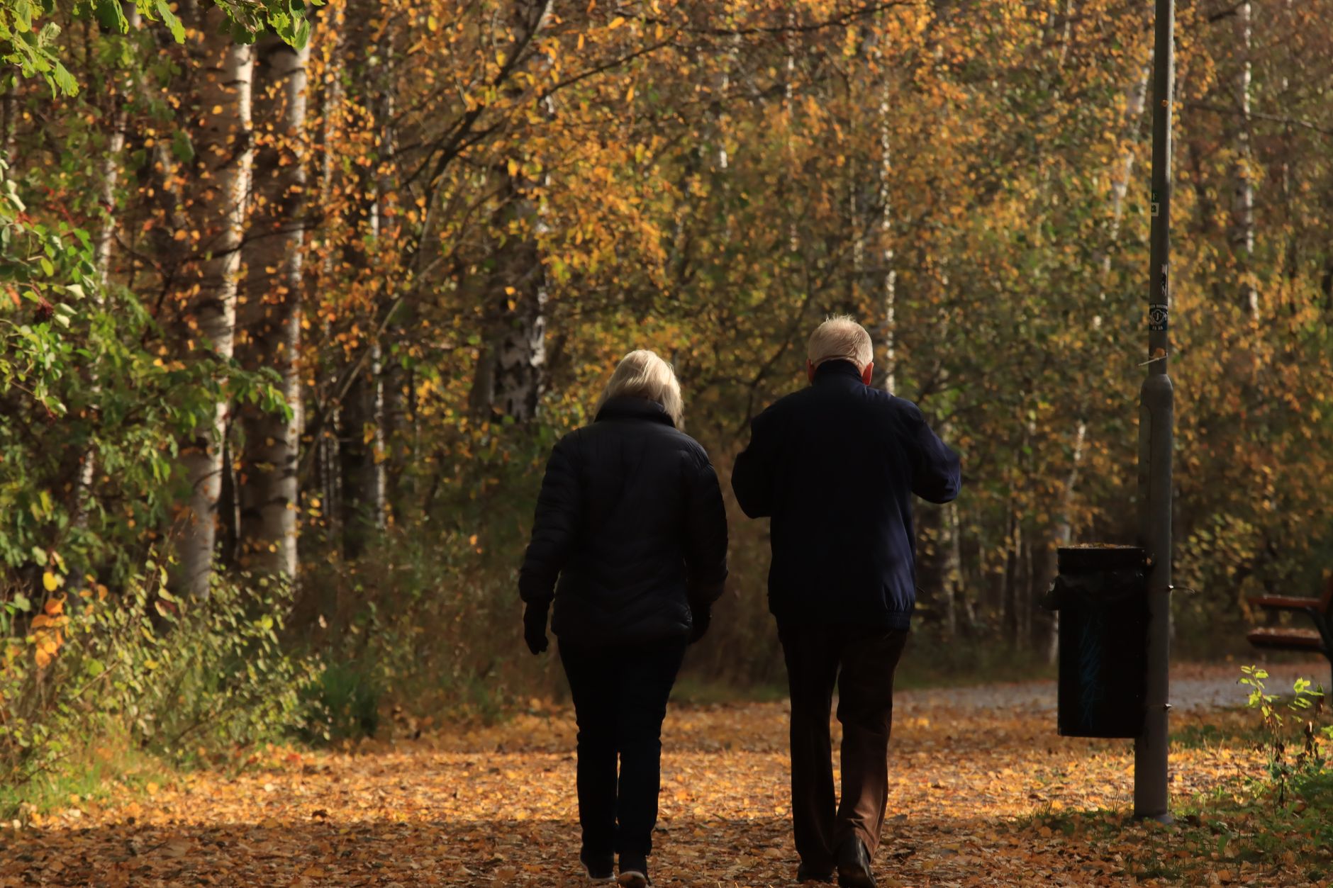 Balance and Fall Prevention—Why Walking Alone Isn't Enough
