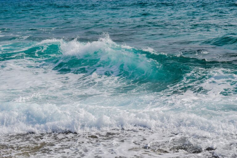 Blue Zones Explained - Featured image