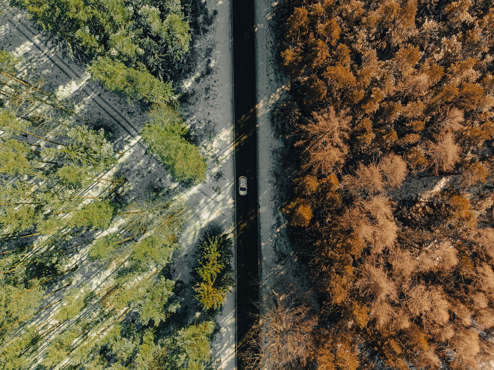 Cost, Availability, and Seasonal Realities
