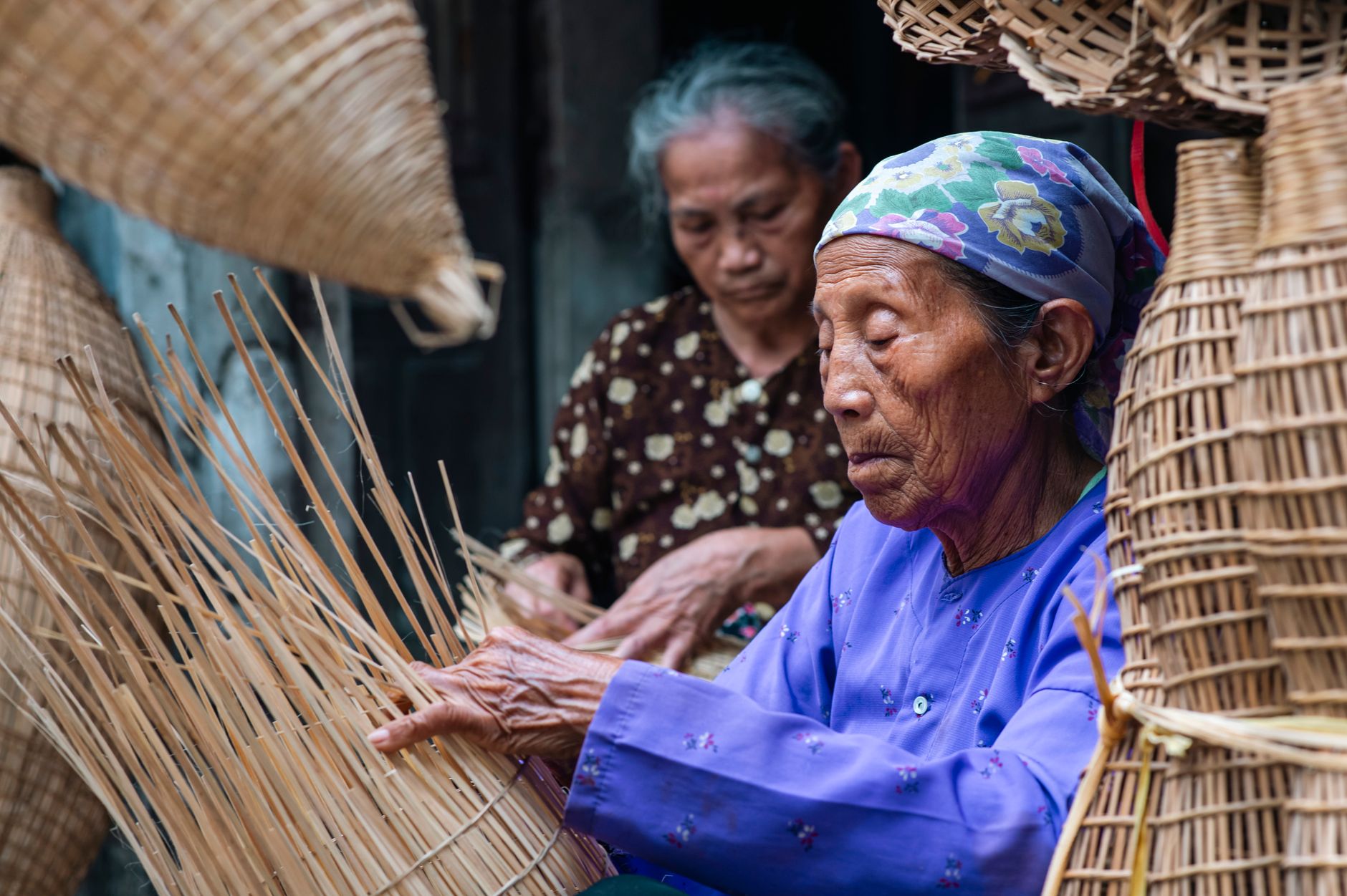 Dietary Patterns That Support Longevity