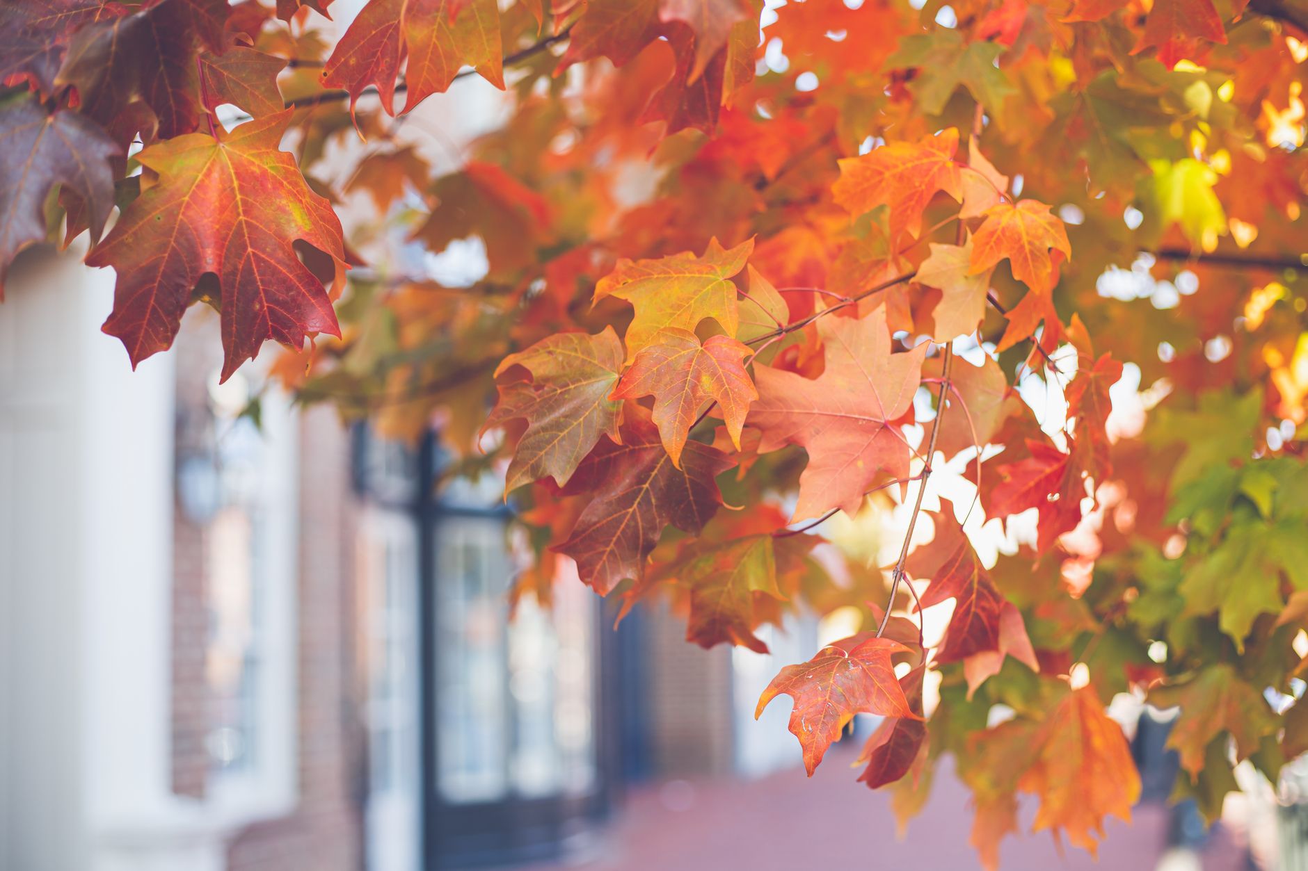 Fall Risk and Safety Considerations You Can't Ignore