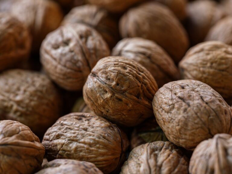 Foods That Support Brain Health - Featured image