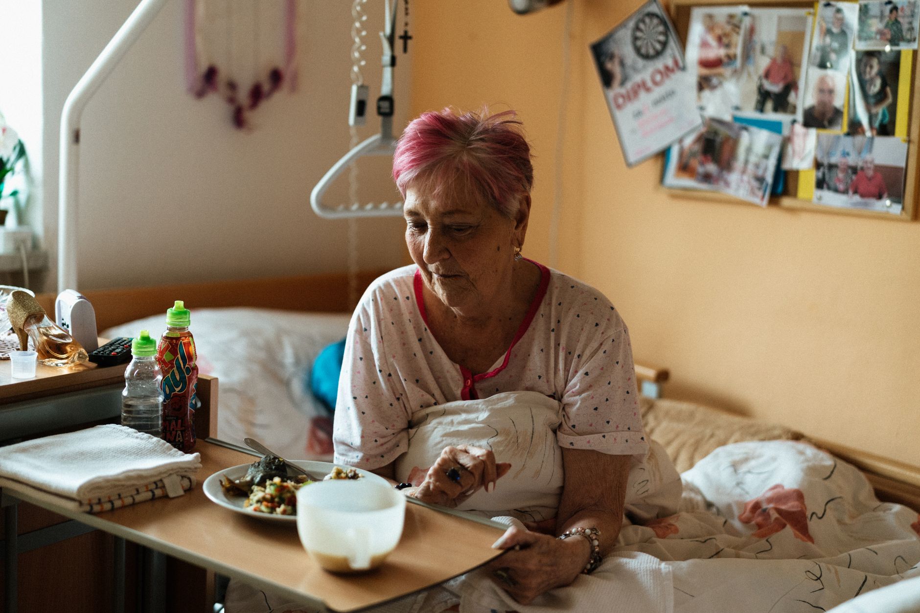 Health Monitoring and Medical Care Coordination in Aging in Place