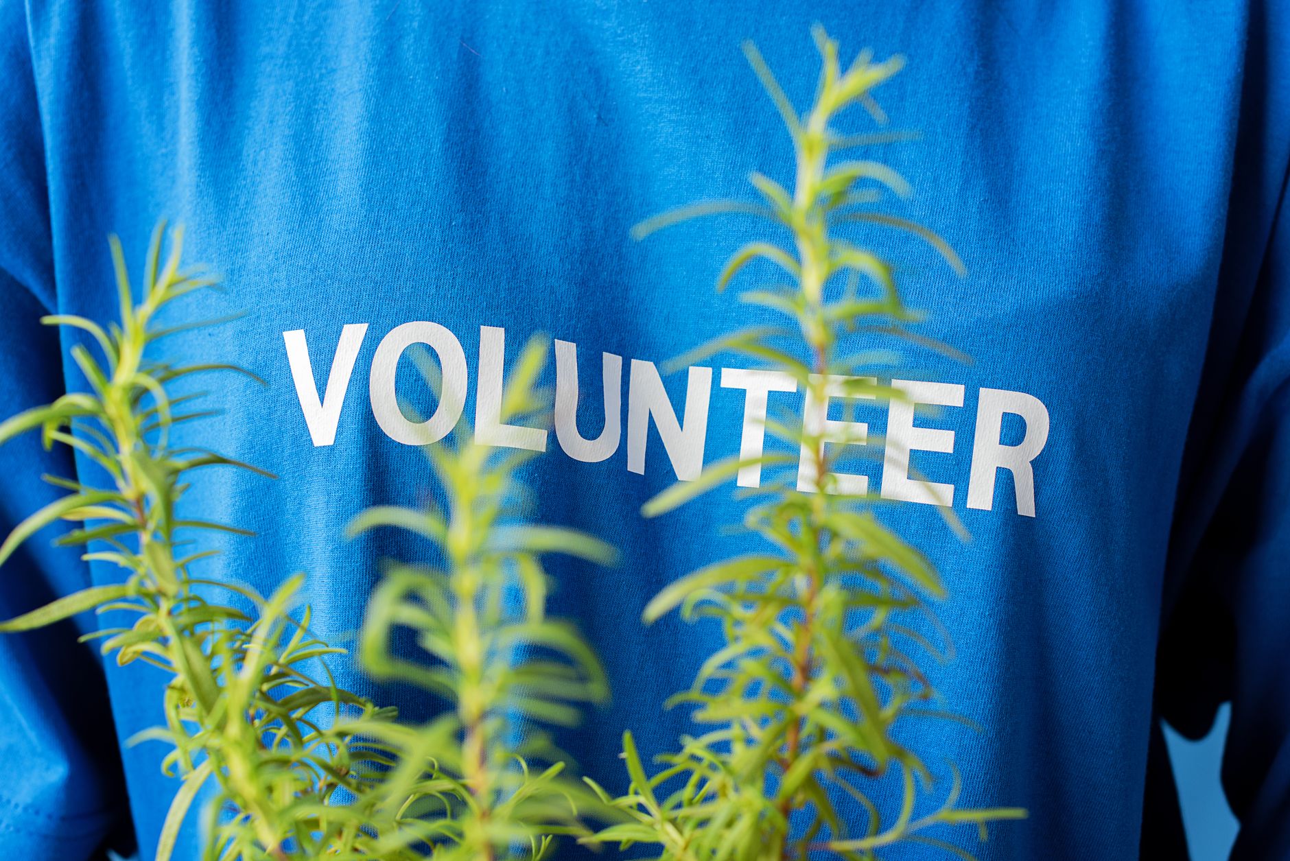 How Does Volunteering Help Maintain Physical and Cognitive Health?