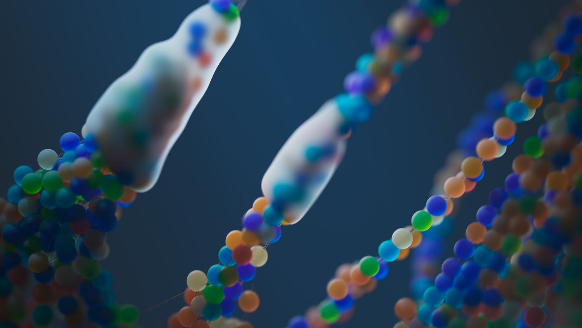 How Protein Shapes Muscle and Independence as You Age