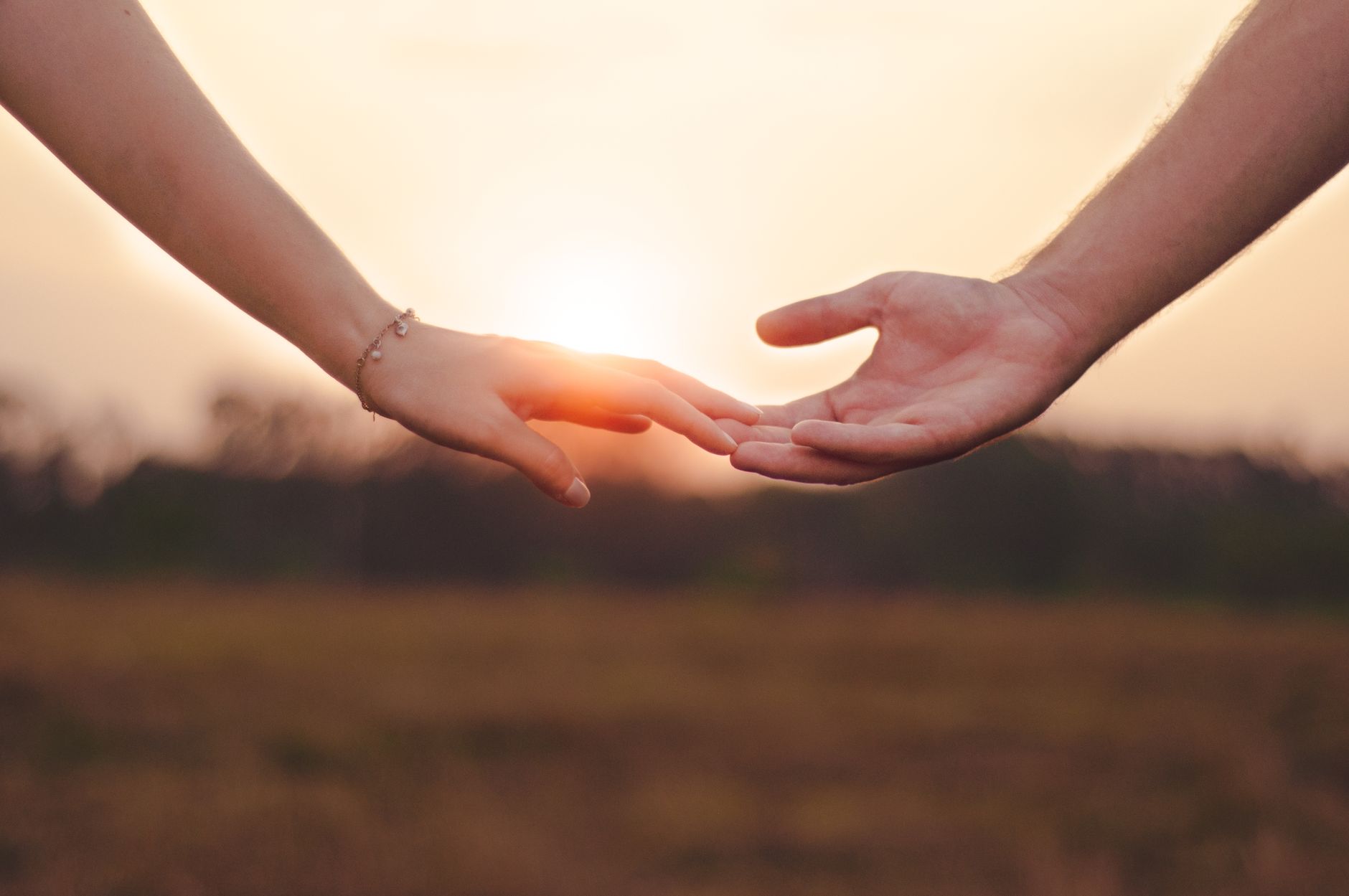 PURPOSE THROUGH RELATIONSHIP AND CONTRIBUTION