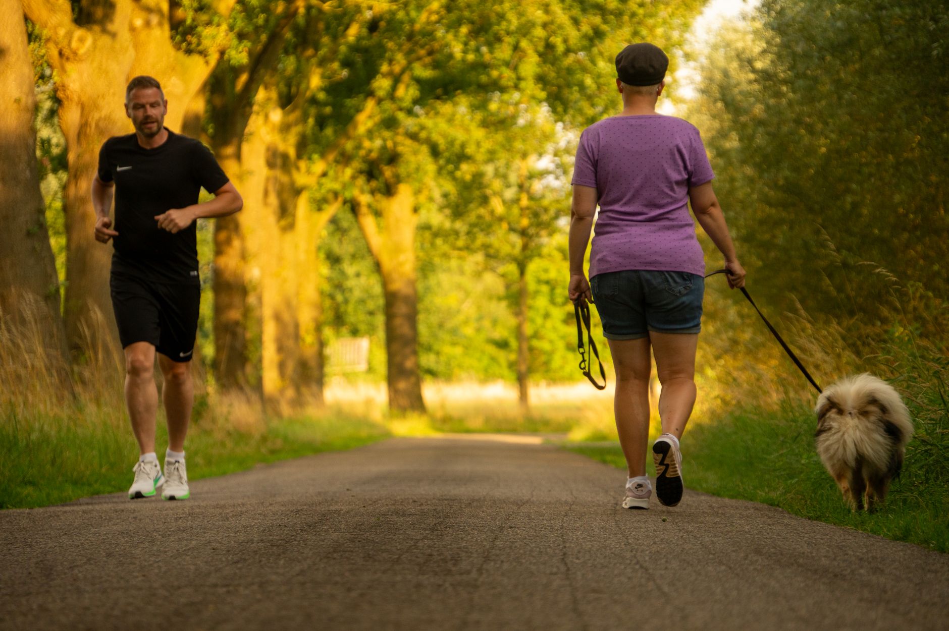 Starting a Walking Routine Based on Current Fitness Level and Health Conditions