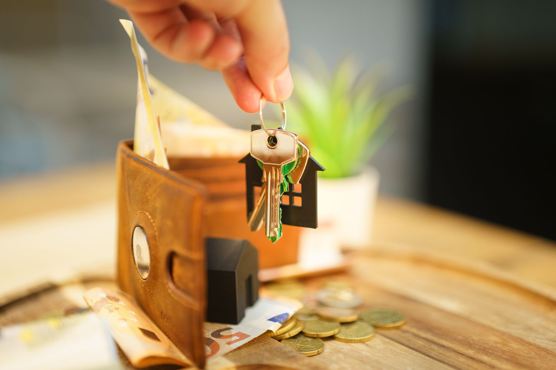The Affordability Problem and Income Disparities in Preparedness