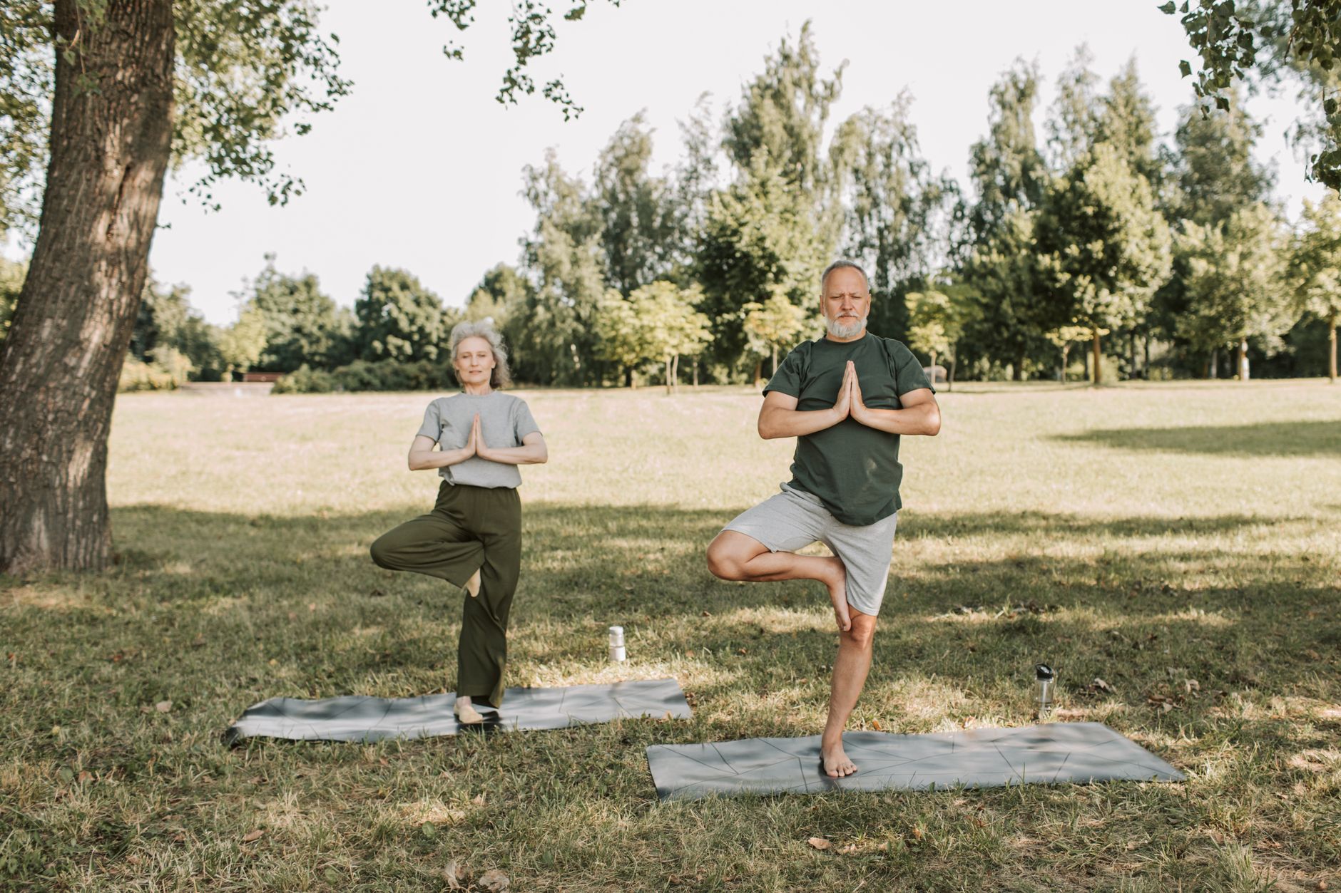 THE ROLE OF MOVEMENT IN DAILY LONGEVITY