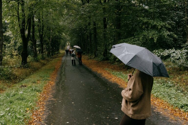Walking in Bad Weather - Featured image
