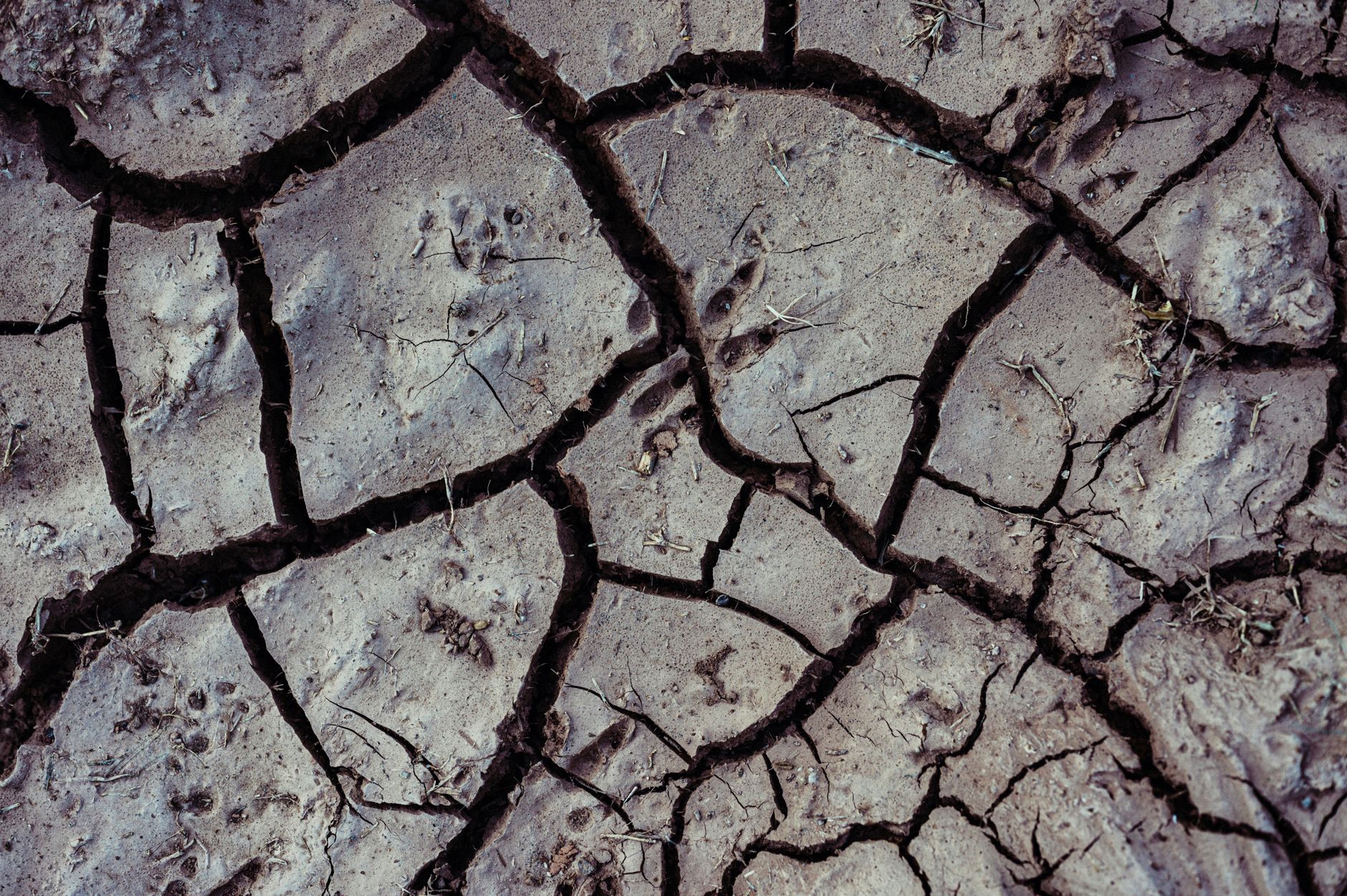 What Environmental Changes Reduce Fall Risk Most Effectively?