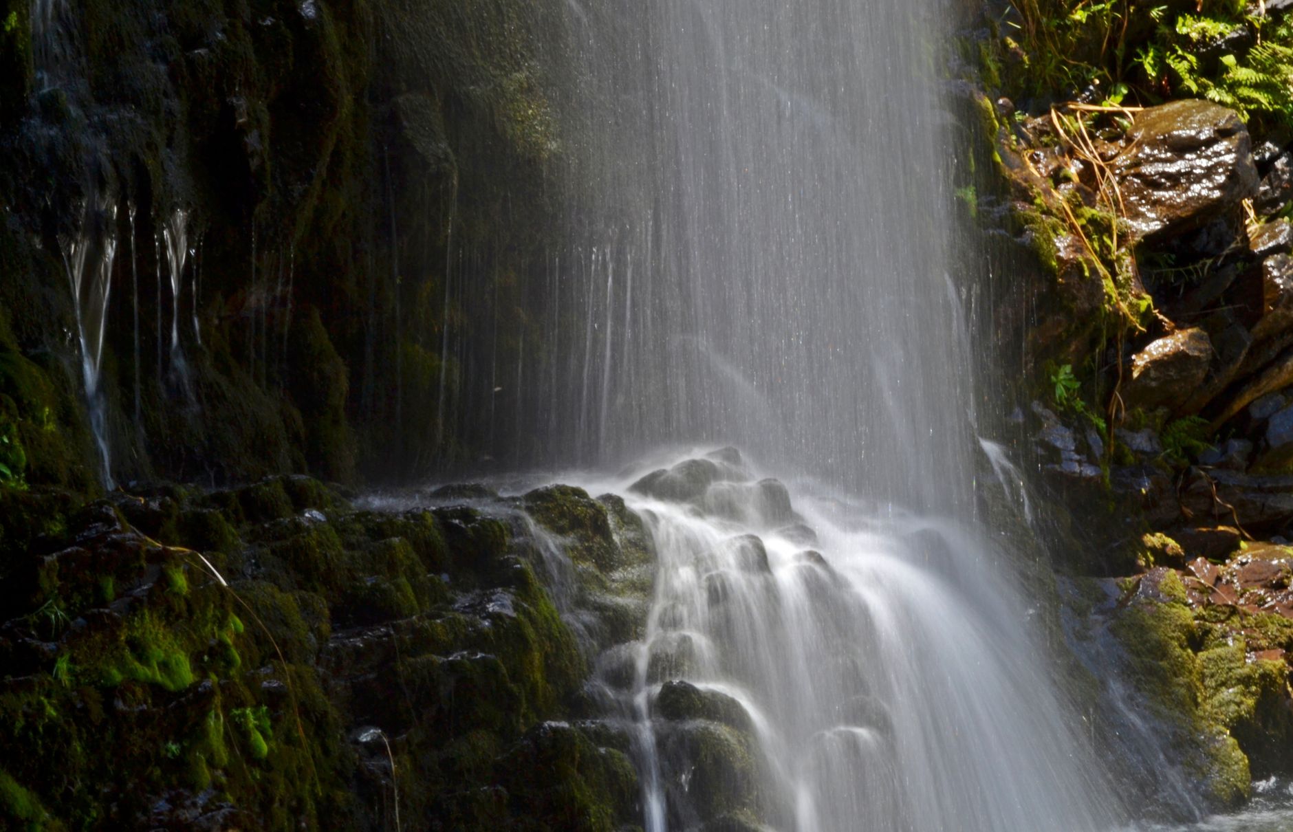 What Makes Falls the Primary Risk for People Living Alone?
