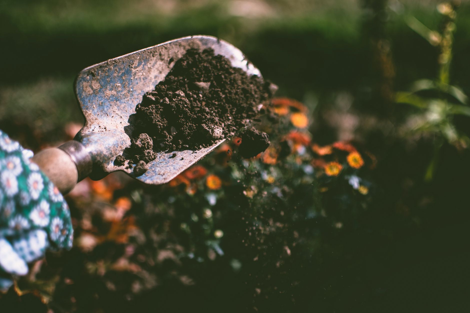 What Makes Gardening Risky for Older Adults?