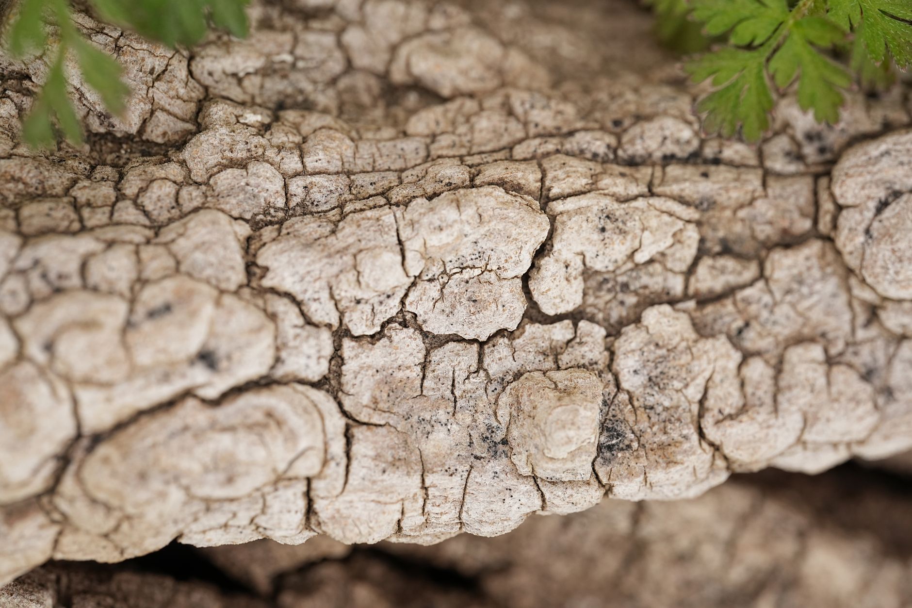 What Natural Strategies Actually Work to Lower Fall Risk?