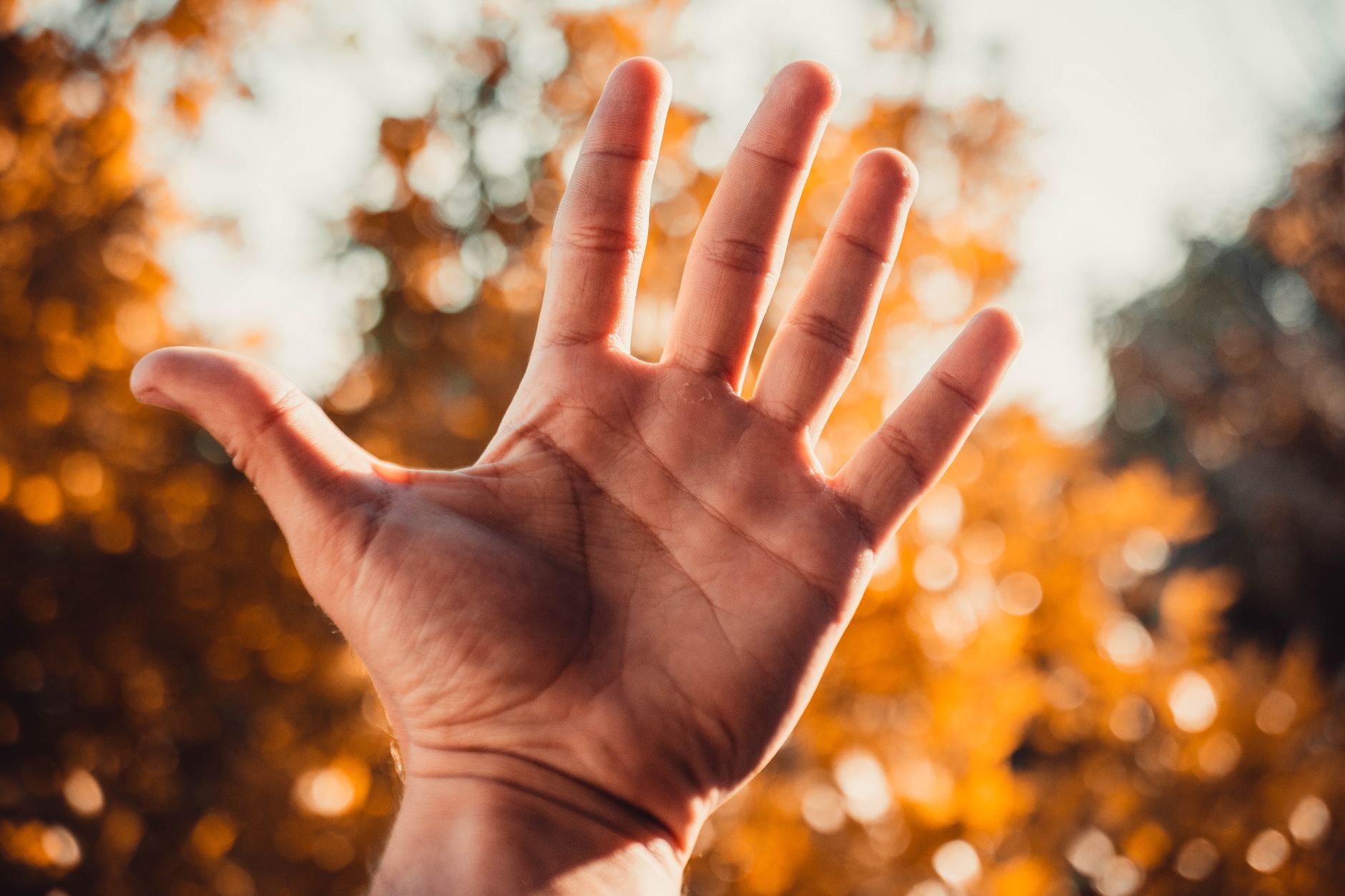 Where Are the Five Blue Zones and What Makes Them Special?
