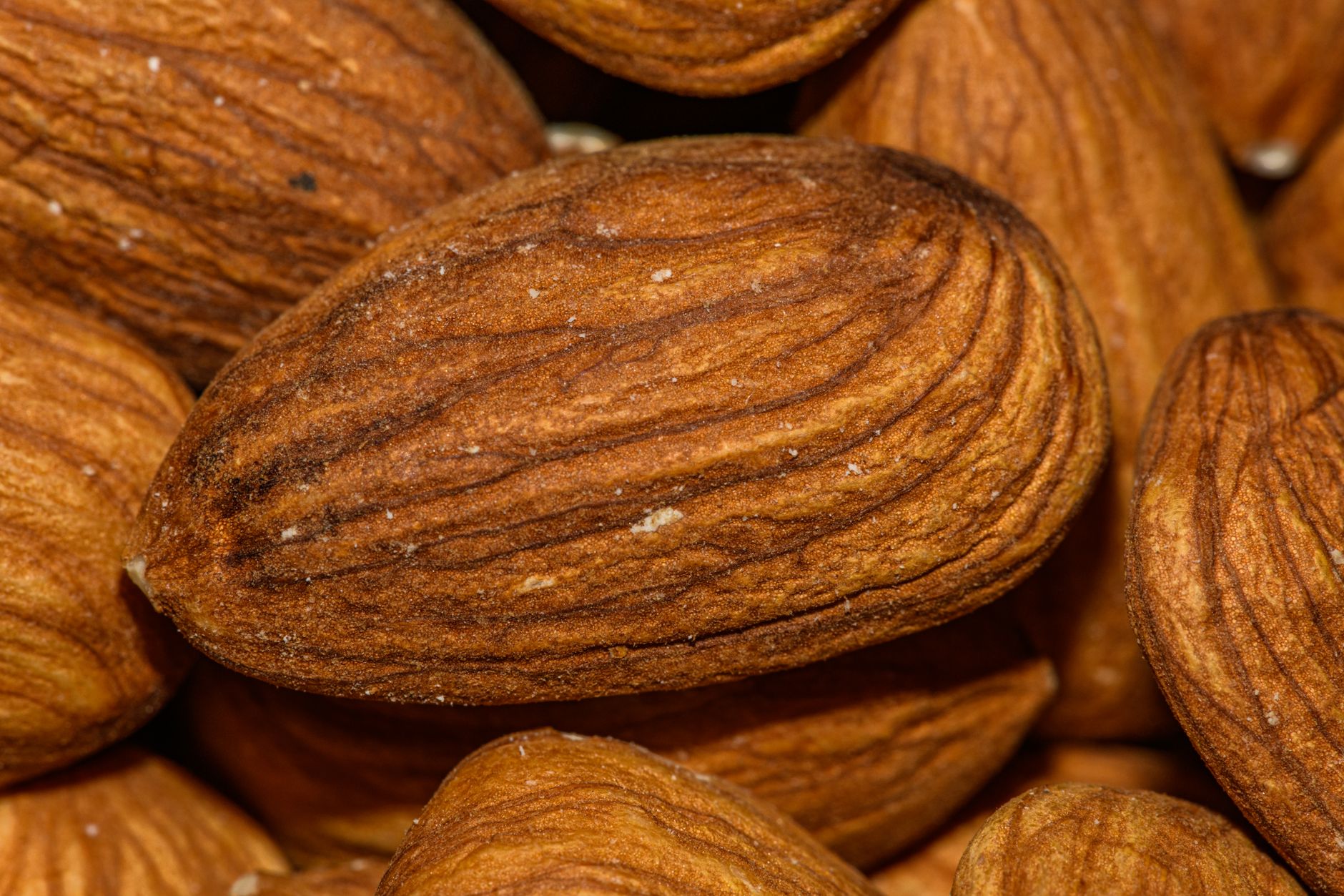 Which Foods Actually Contain Enough Calcium to Matter?