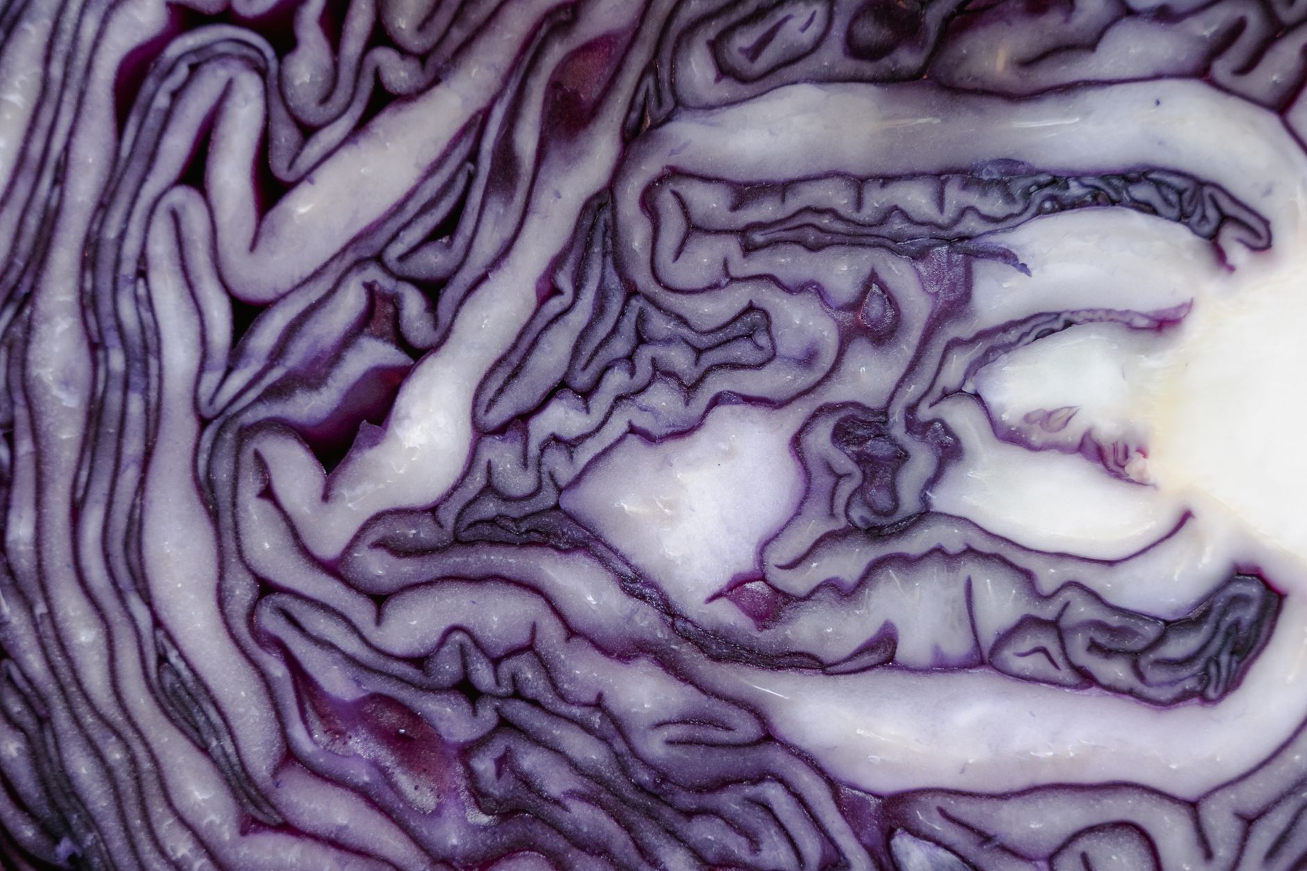 Which Nutrients Matter Most for Preventing Falls?