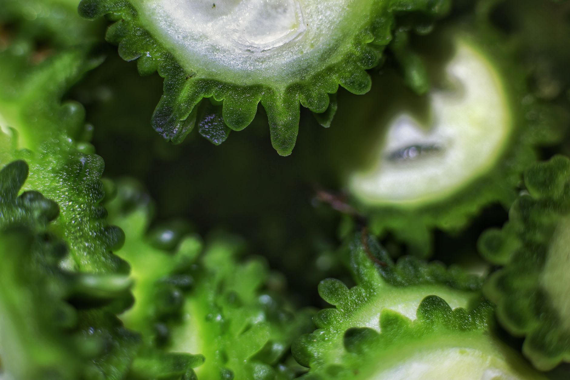 Which Vegetables Provide the Most Nutritional Benefit?