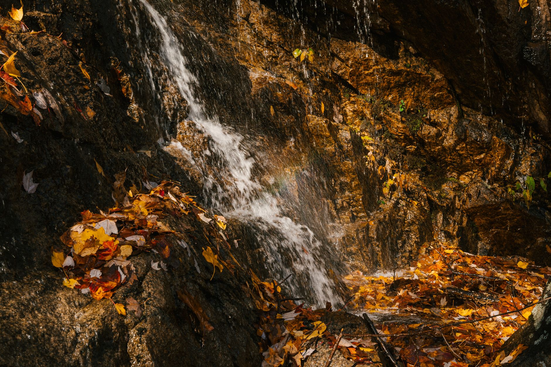 Why Do Falls Often Recur, and How Do You Break the Cycle?
