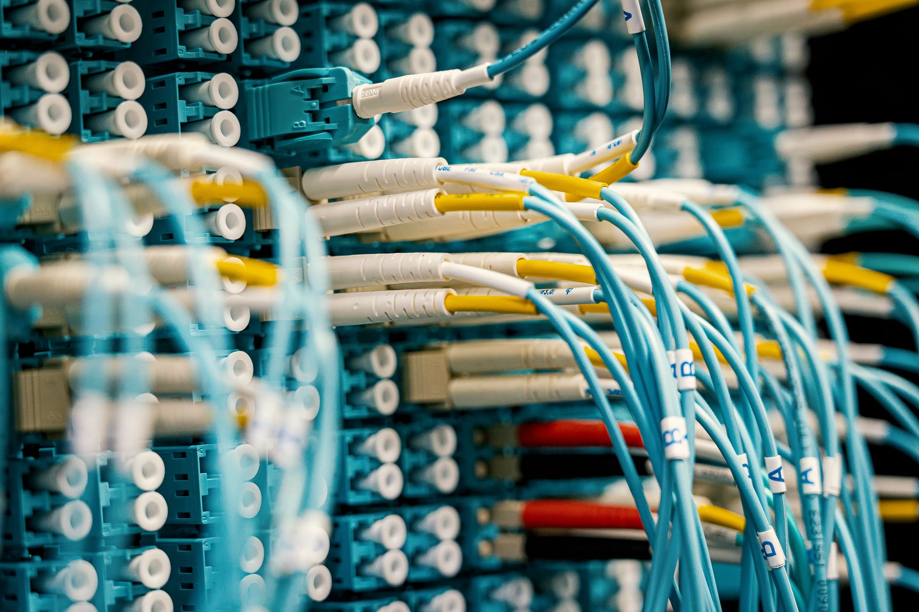 Why Does Your Social Network Matter More Than You Think?